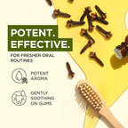 100% Pure Clove Essential Oil - Image 3