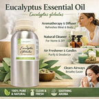 GreenHealth - Eucalyptus Globulus Essential Oil – 16 fl oz Aluminum Bottle - Image 4