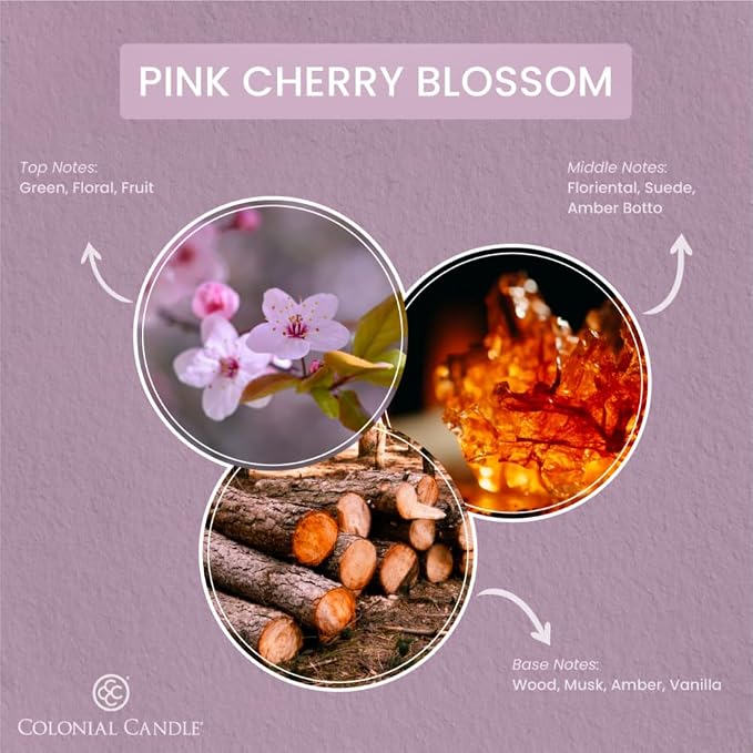 Colonial Candle Pink Cherry Blossom Scented Jar Candle, 2 Wick, 3.5 oz - Image 2