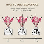 COCODOR Preserved Real Flower Reed Diffuser/Black Cherry / 6.7oz / 1 Pack/Reed - Image 4