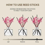 COCODOR Preserved Real Flower Reed Diffuser/April Breeze / 6.7oz / 2 Pack/Reed - Image 4