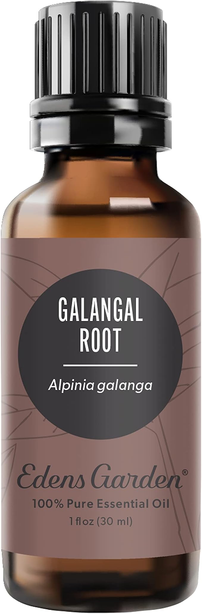 Edens Garden Galangal Root Essential Oil- 100% Pure Premium Grade, Therapeutic by EdensGarden