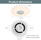 LED Ceiling Light Fixture, - Image 6