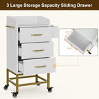 Paddie Beauty Salon Storage Trolley Cart, Glass Top Hair Station Cabinet - Image 4