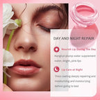 Bee Lip Balm Honey Pot, Fruit Moisturizing Propolis Lip Mask, Lip Mask - Image 5