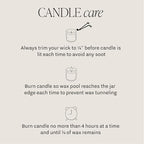 Sweet Water Decor Fraser Fir Christmas Candles - Image 8