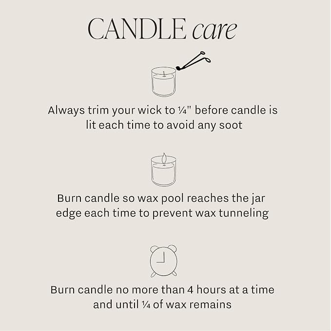 Sweet Water Decor Fraser Fir Christmas Candles - Image 8