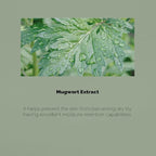 PRETTYSKIN Mugwort Daily Facial Toner - Image 6