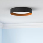 Bargeni 16.5 Inch LED Ceiling Light Fixture, Dimmable Flush Mount Matte Black - Image 2
