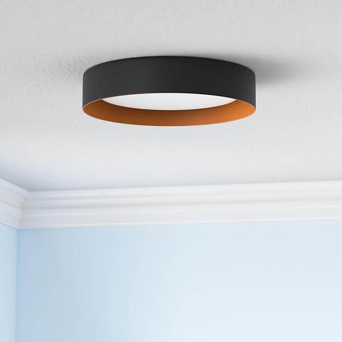 Bargeni 16.5 Inch LED Ceiling Light Fixture, Dimmable Flush Mount Matte Black - Image 2