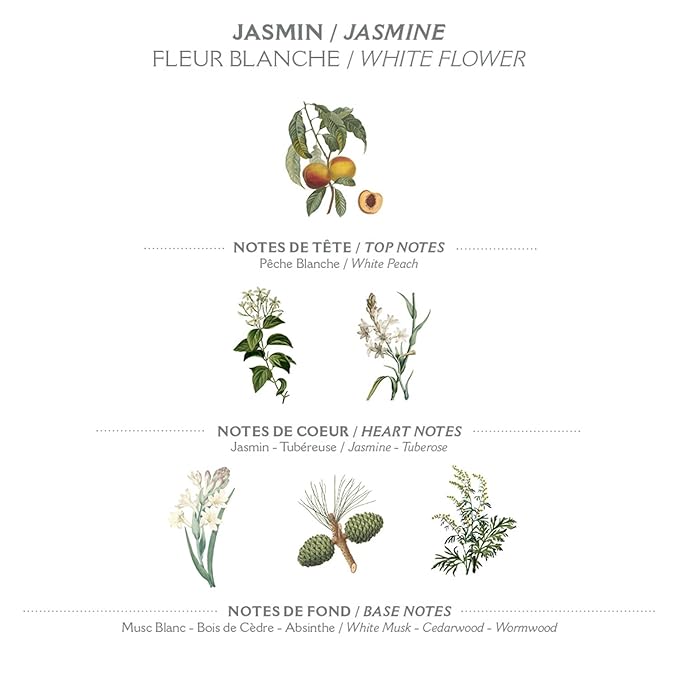 Panier des Sens – White Jasmine Hand Cream – Moisturizing Hand Lotion - Image 3