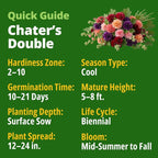 HOME GROWN Hollyhock Chaters Double Mix 2400 Seeds – Holly Hocks Seeds - Image 3