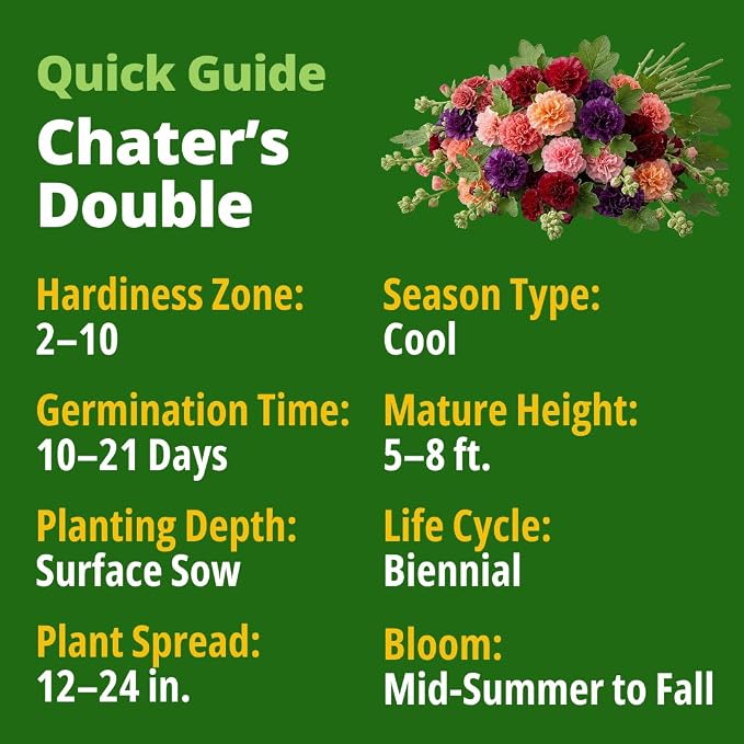 HOME GROWN Hollyhock Chaters Double Mix 2400 Seeds – Holly Hocks Seeds - Image 3