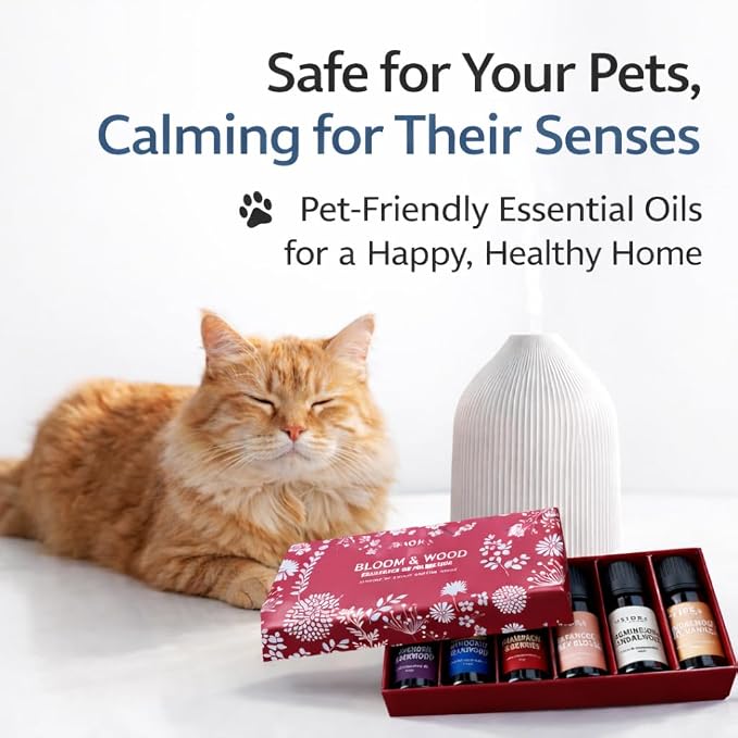 Premium Fragrance Oil Set – Highly Concentrated Scented Oils - Image 4