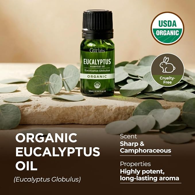 Gya Labs USDA Organic Eucalyptus Essential Oil - Image 4