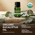 Gya Labs USDA Organic Eucalyptus Essential Oil - Image 4