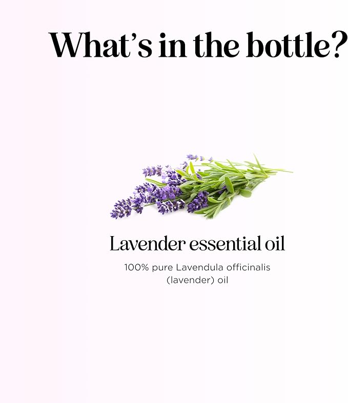 Pure Lavender Essential Oil - Image 4