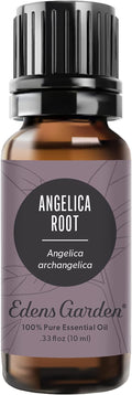 Edens Garden Angelica Root Essential Oil- 100% Pure Premium Grade, Therapeutic by EdensGarden