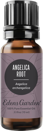 Edens Garden Angelica Root Essential Oil- 100% Pure Premium Grade, Therapeutic by EdensGarden