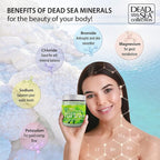 Dead Sea Collection Tea Tree Salt Scrub – Exfoliating Body Scrub - Image 4