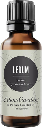 Edens Garden Ledum Essential Oil- 100% Pure Premium Grade, Therapeutic by EdensGarden