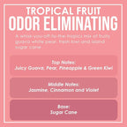 Tropical Fruit Odor Eliminating Highly Fragranced Candle - Image 4