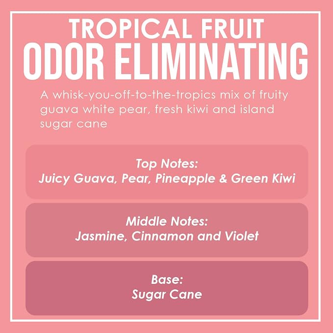 Tropical Fruit Odor Eliminating Highly Fragranced Candle - Image 4