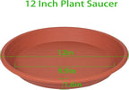 2 Pack of Plant Saucer 12 inch, 12 inch Plastic Plant Drip Trays, Heavy Duty - Image 2