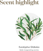Young Living Eucalyptus Globulus Essential Oil | Cooling, Refreshing Aroma - Image 5
