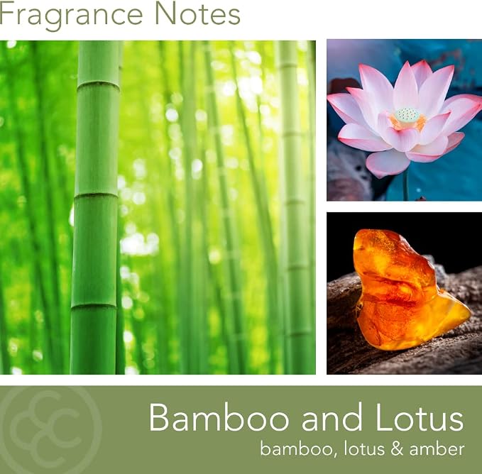 Carolina Bamboo Lotus Scented Candle, 16 oz Wellness Relaxing Aromatherapy - Image 2