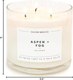 Calyan Wax Co. Aspen & Fog 3 Wick Scented Candle - Image 10