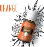 Young Living Orange Essential Oil, 15 ml – Bright Citrus Aroma - Image 3