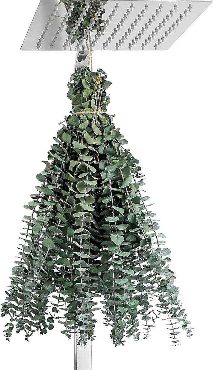 12 Pcs Eucalyptus for Shower Hanging 17" Real Eucalyptus Stems 100% Made from - Image 7