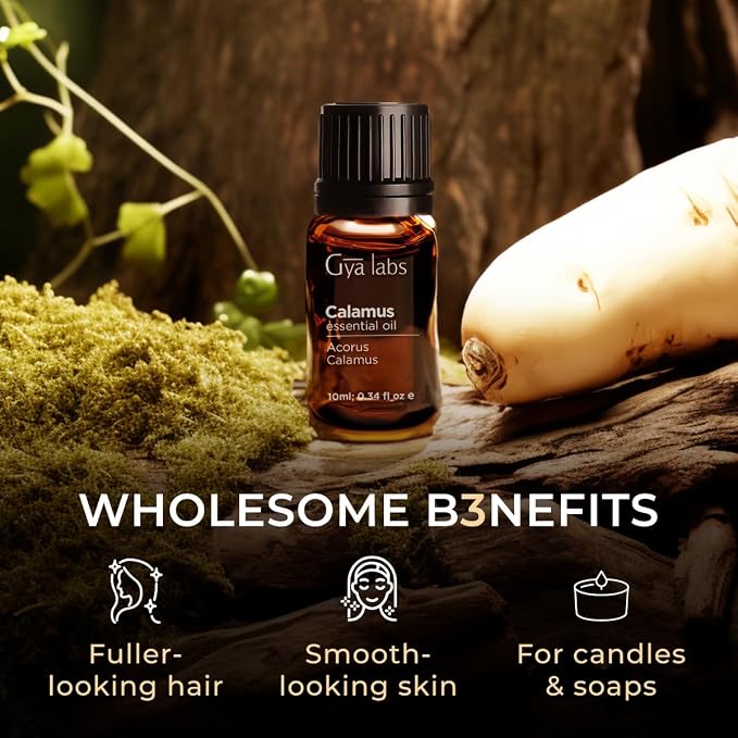 100% Pure Calamus Essential Oil - Image 5