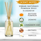Urban Naturals Pumpkin Spice Reed Diffuser Set - Image 2