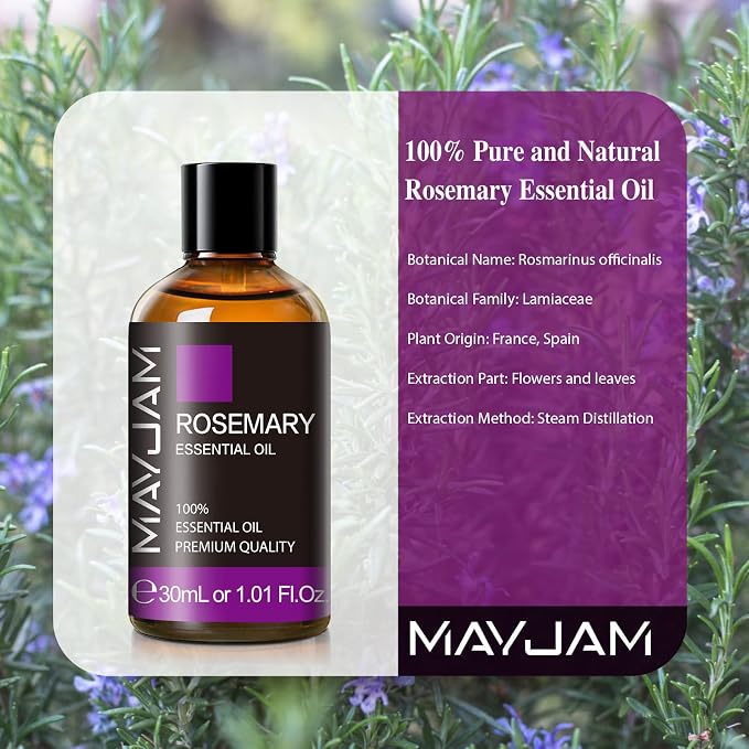 Rosemary Essential Oil 30ML/1.01FL.OZ, MAYJAM Premium Rosemary Oil Essential - Image 3