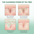 Botanic Hearth Tea Tree Body Wash 2Pack, - Image 8