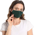 ROSEWARD 100% Mulberry Silk Face Mask by ROSEWARD
