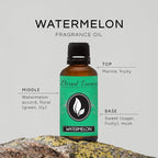 Eternal Essence Oils Watermelon 30ml Premium Fragrance Oil - Image 2