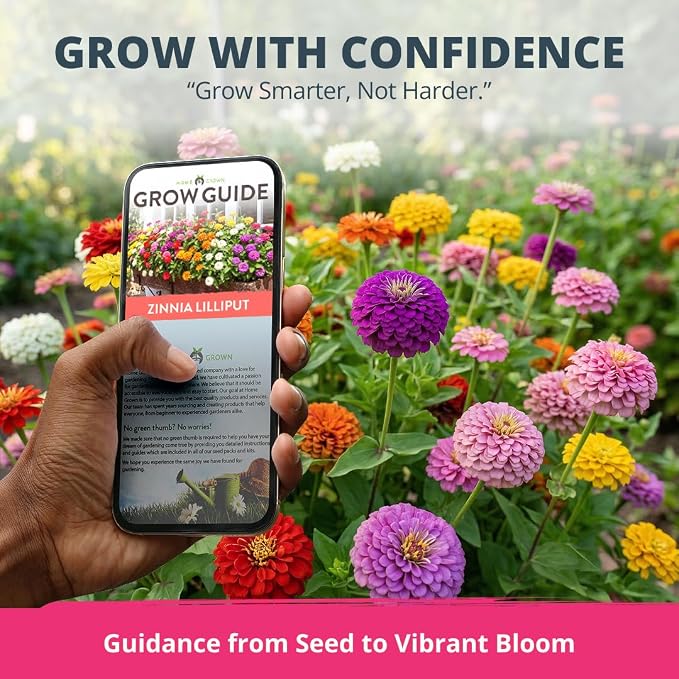 HOME GROWN Zinnia Lilliput Mix Flower Seeds - Image 7