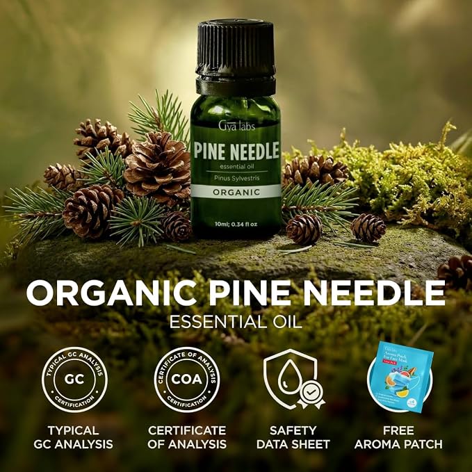 Gya Labs Organic Pine Needle Essential Oil - Image 8