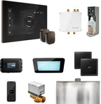 Mr Steam Bliss Max Steam Shower Ctrl Pkg w/iSteamX Control and Steamhead in by MrSteam