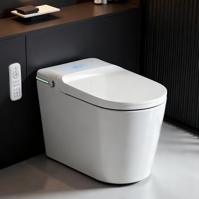 TDH Smart Toilet, One Piece Bidet Toilet by TDH