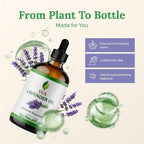 SVA Lavender Essential Oil – 4 Fl Oz – 100% Natural Lavender Oil - Image 4