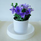 1 Pack Plant Saucer Tray for Ceramic Plastic Pots, 6 inch Plant Saucers for - Image 4