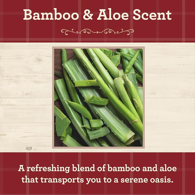 Our Own Candle Company, Bamboo & Aloe Scented Mason Jar Candle, 100 Hour Burn - Image 2