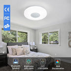 LED Ceiling Light Fixture, - Image 2