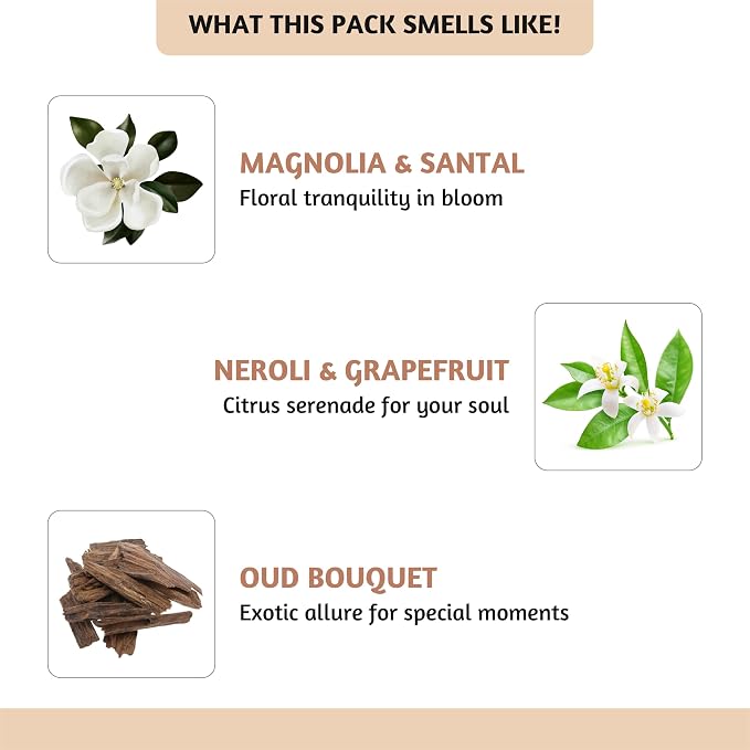 Folkulture Beach Essential Oil Set of 6 | Summer Essential Oils - Image 4