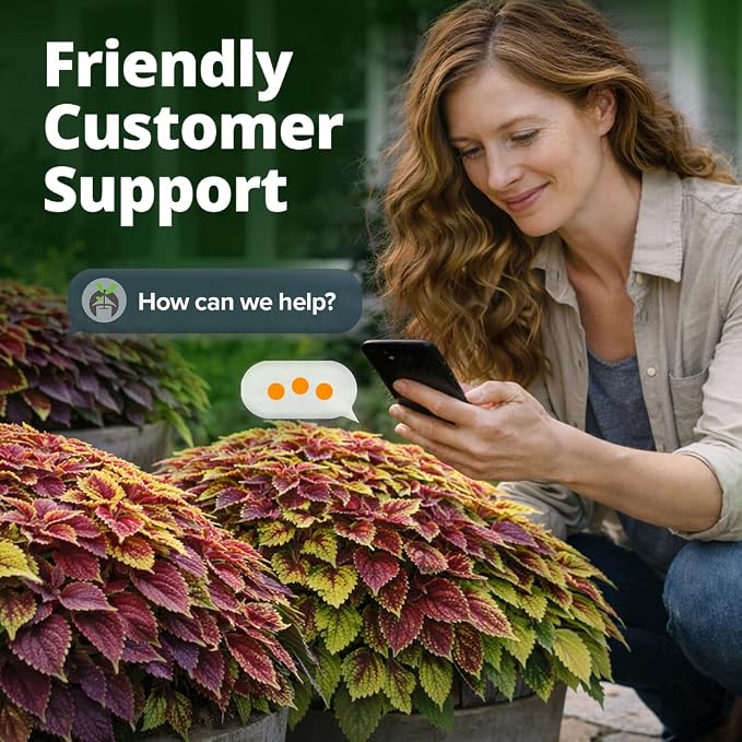 HOME GROWN Coleus Rainbow Seeds – 400 Count 0.04 oz Flower Seed, Coleus - Image 8
