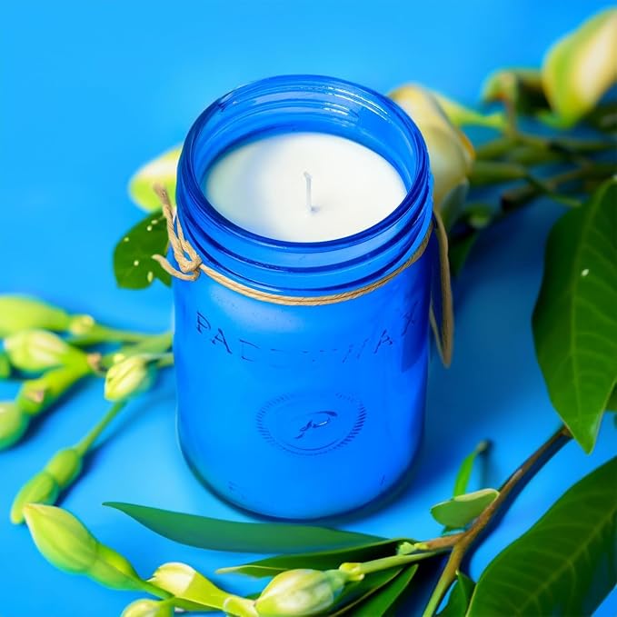 Paddywax Scented Candles Relish Collection Soy Wax Artisan Candle in Glass Jar - Image 2